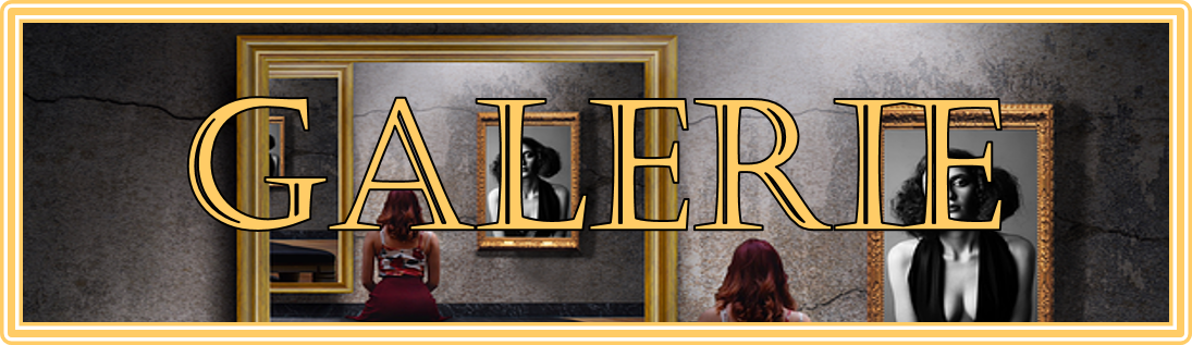 GalerieBanner.png